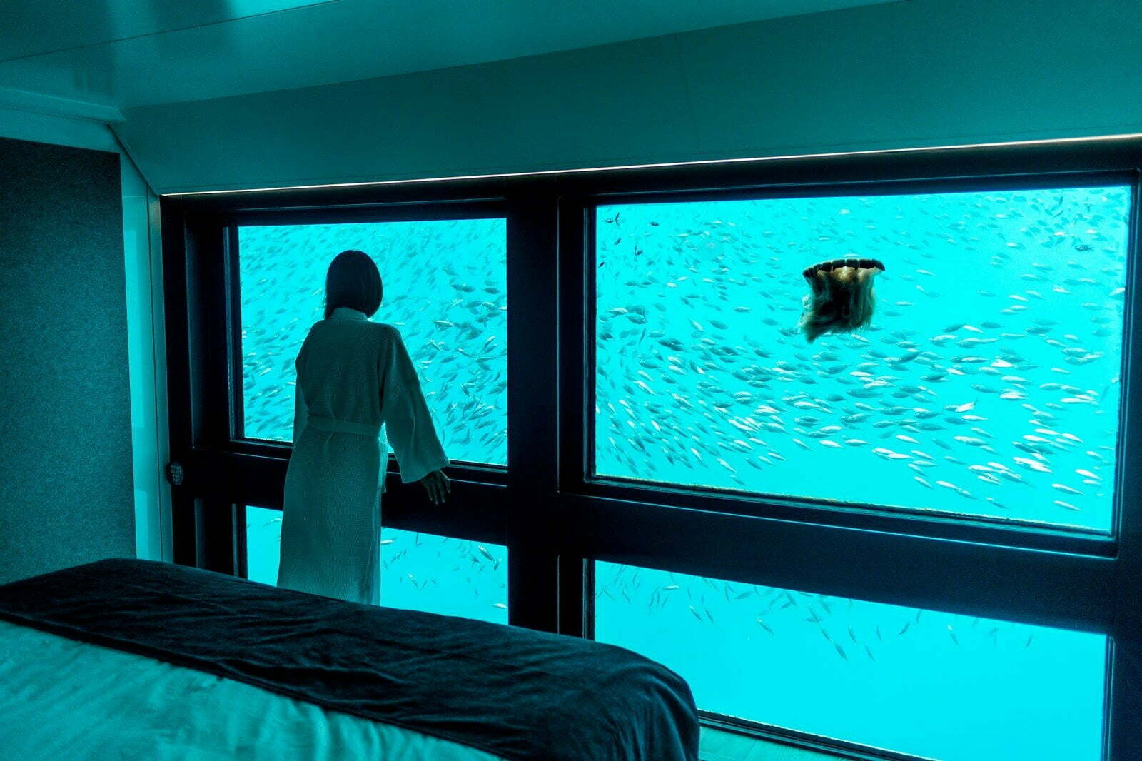 Ang Reefsuites – Australya